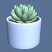 3d model Succulent in a pot. - preview