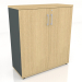 3D Modell Schrank Standard A3105 (1000x432x1129) - Vorschau