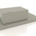 3d model Mueble de almacenaje Simmetria 1000x500x320 mm (opción 3) - vista previa