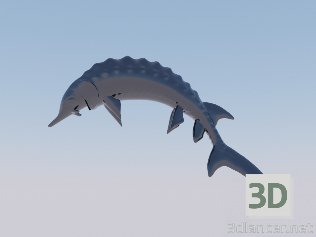 modello 3D pesce - anteprima