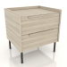 3d model Bedside table STAND 2 500 mm (lightened oak) - preview