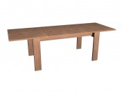 Folding table (unfolded)