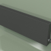 3d model Convector - Aura Slim Basic (350x1000x80, RAL 9005) - preview