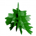 modello 3D di Oggetto albero pino comprare - rendering