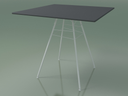 Table d'extérieur avec plan de travail carré 1815 (H 74 - 79 x 79 cm, HPL, V12)