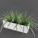 modèle 3D Dracaena - preview