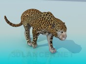 Leopar