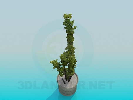 modèle 3D Pot - preview