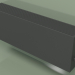 3d model Convector - Aura Slim Basic (350x1000x180, RAL 9005) - preview