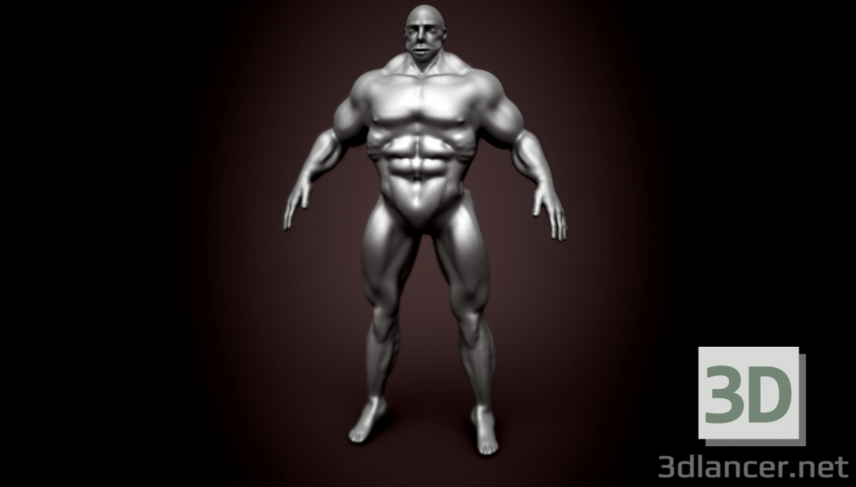 3D Modell Bodybuilder - Vorschau