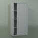 3d model Armario de pared con 1 puerta derecha (8CUCCCD01, Silver Grey C35, L 48, P 24, H 96 cm) - vista previa