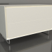 3D Modell Schrank TM 012 (800x400x500, weiße Kunststofffarbe) - Vorschau