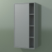 3d model Armario de pared con 1 puerta izquierda (8CUCCCS01, Silver Grey C35, L 48, P 24, H 96 cm) - vista previa