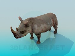 Rhino