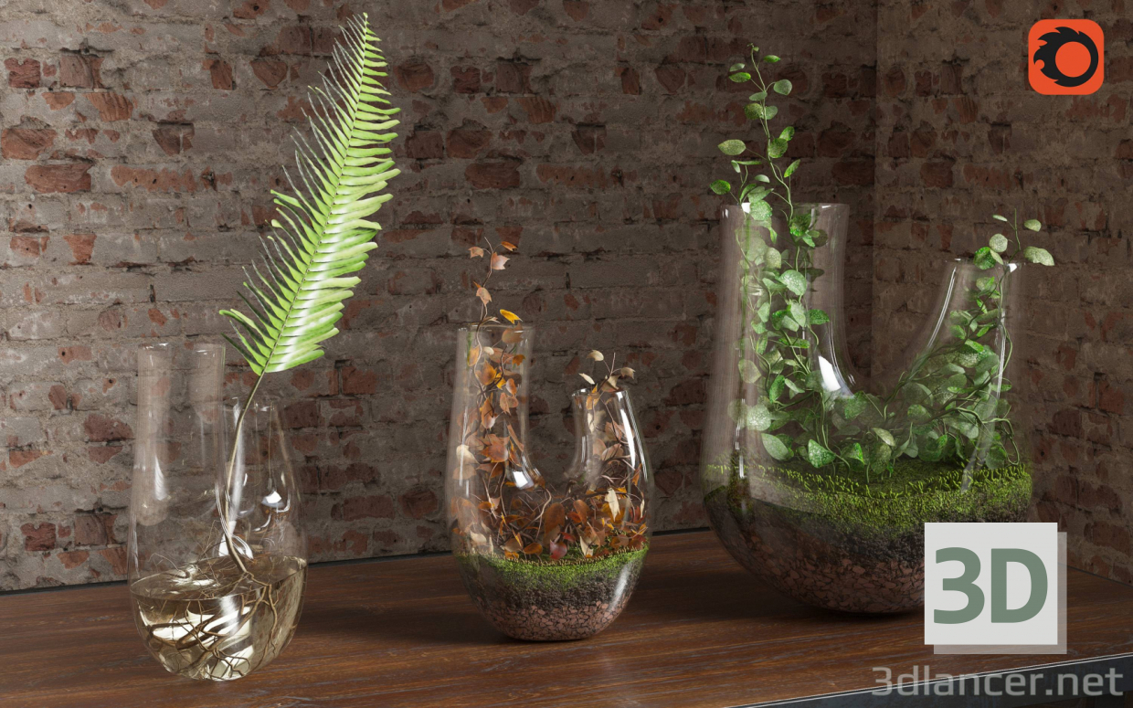 Terrarium für Pflanzen. SET PREVIEWNUM #