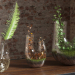 3d Plant terrarium. SET PREVIEWNUM#