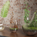 3d Plant terrarium. SET PREVIEWNUM#