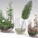 3d Plant terrarium. SET PREVIEWNUM#