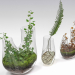 3d Plant terrarium. SET PREVIEWNUM#