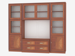 Library cabinet with a place for TV LG213