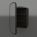 3d model Mirror (with half-open drawer) ZL 17 (460x200x695, wood brown dark) - preview