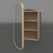 3d model Mirror (with half-open drawer) ZL 17 (460x200x695, wood white) - preview