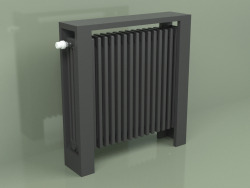 Radiateur Delta Bar (H750 L900 B139, RAL - 9005)