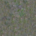 Texture Texture de la terre Téléchargement gratuit - image