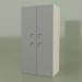 3d model Double wardrobe (Gray) - preview