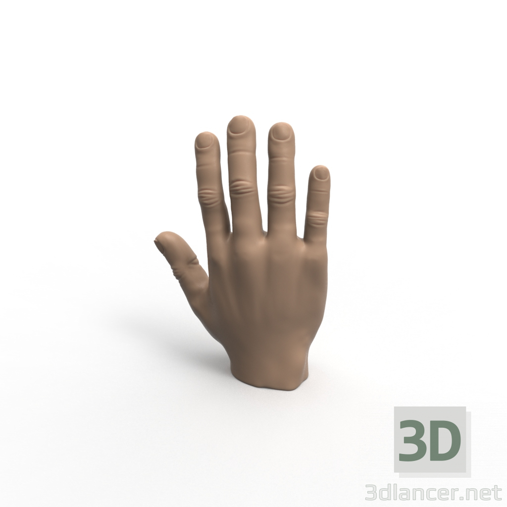 Modelo 3d Mão - preview