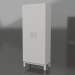 3D Modell Kleiderschrank Kleiderschrank LK-800 ShG - Vorschau