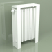 modèle 3D Radiateur Delta Bar (H900 L700 B177, RAL - 9016) - preview