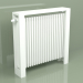 modèle 3D Radiateur Delta Bar (H900 L1100 B139, RAL - 9016) - preview