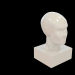 3d model Busto - vista previa