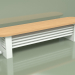 modello 3D Radiator Delta Column Bench (H200 1500, RAL - 9016) - anteprima