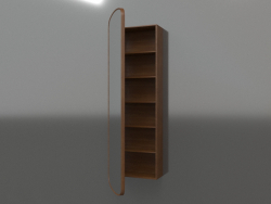 Mirror (with half-open drawer) ZL 17 (460x200x1500, wood brown light)