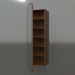 3d model Mirror (with half-open drawer) ZL 17 (460x200x1500, wood brown light) - preview