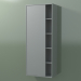 3d model Armario de pared con 1 puerta izquierda (8CUCDСS01, Silver Grey C35, L 48, P 24, H 120 cm) - vista previa