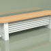 3d model Delta Column Bench Radiator (H250 1500, RAL - 9016) - preview