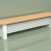 3d model Delta Column Bench Radiator (H250 1800, RAL - 9016) - preview