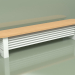 3D Modell Delta Column Bench Radiator (H250 2000, RAL - 9016) - Vorschau