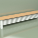 3d model Delta Column Bench Radiator (H250 2500, RAL - 9016) - preview