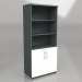 3d model Semi-bookcase Standard A5404 (801x432x1833) - preview