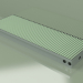 3d model Duct convector - Aquilo F1Т (340x1000x90, RAL 6019) - preview