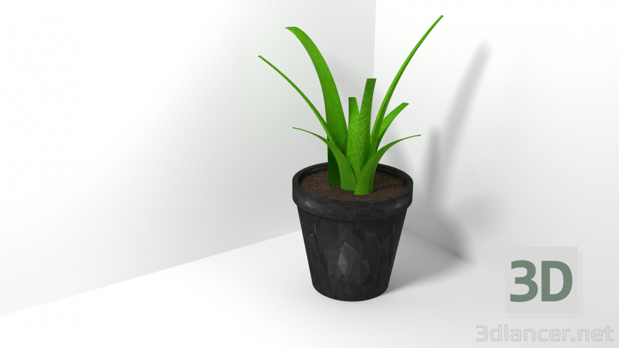 modèle 3D La plante dans un pot - preview