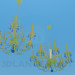 Modelo 3d Lustres com candelabros - preview