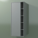 3d model Armario de pared con 1 puerta izquierda (8CUCDDS01, Silver Grey C35, L 48, P 36, H 120 cm) - vista previa