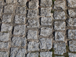 Paving stone