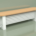 3D Modell Delta Column Bench Radiator (H300 1500, RAL - 9016) - Vorschau