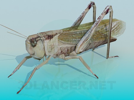 3d model Saltamontes - vista previa